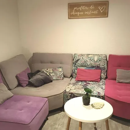 Gite De Cyrielle Et Pascal Classe 3 * Holiday home Saint-Sauveur (Meurthe-et-Moselle)